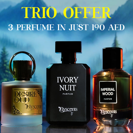 3 x Perfumes Deal (Save AED 65)